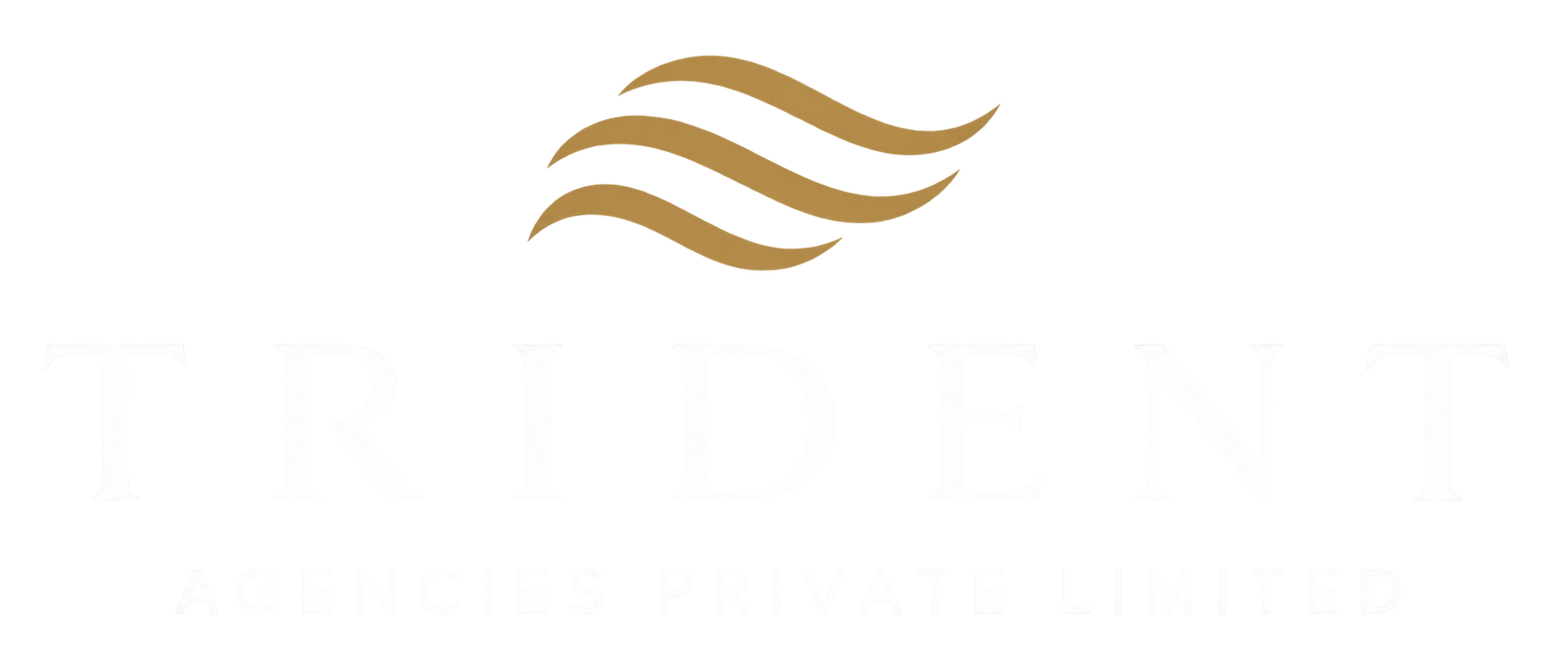 Trident Agencies Private Limited
